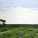 <Marsh Series XIV>